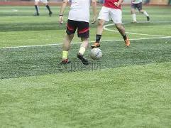 孙杨三度点,赞张豆豆,誉为典范丈,FB体育平台,FB体育官方网站,FB体育登录入口,FB体育app下载