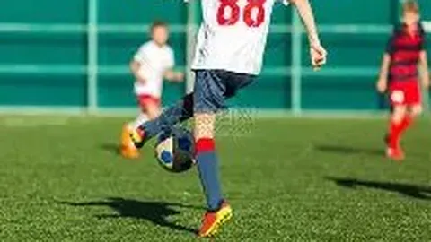 梅丽尔·斯特里普曾获哪些荣誉奖项？