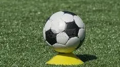 2025年中国小篮球全国总决赛在厦门热烈启幕，2300多名青少年篮球选手同场竞技