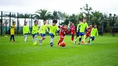 FB体育 产品 094626 08p