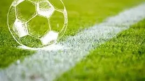 南平体育产业新篇章，全运冠军共谋家乡发展！